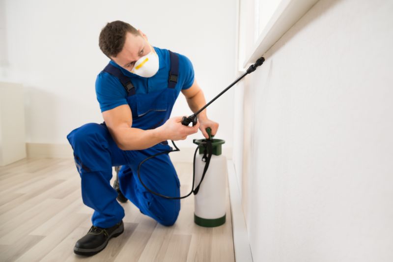 Earwig Extermination in Katy, TX