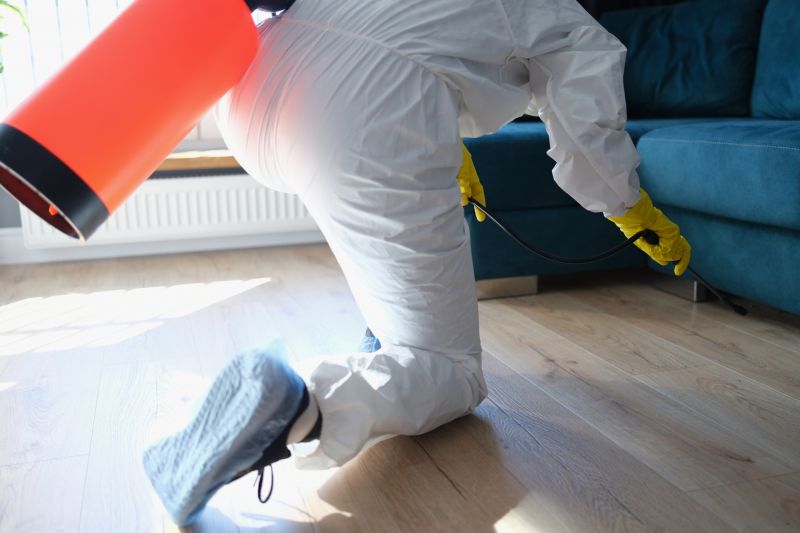 Rat Fumigation Service in Davis County, UT