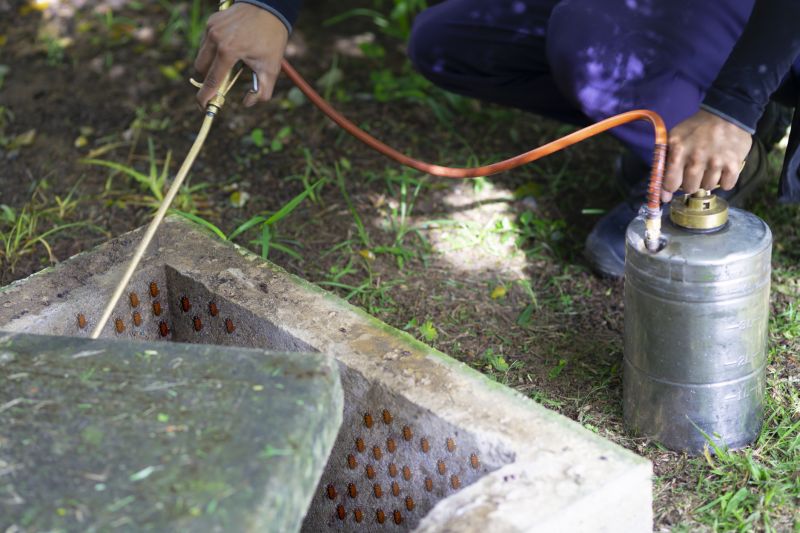 Spider Fumigation Service in Cumming, GA