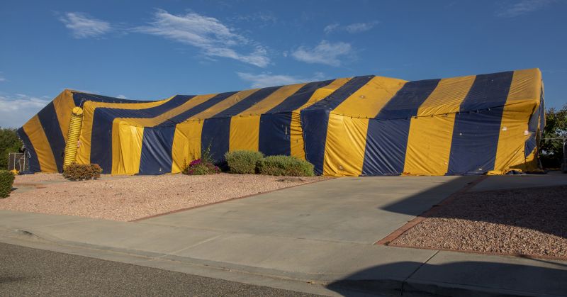 Termite Tenting in Kalamazoo, MI