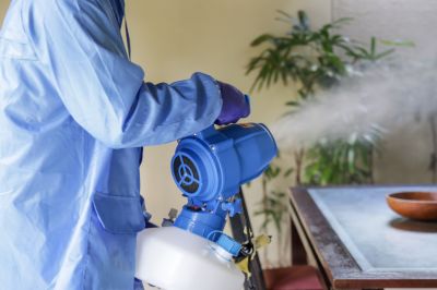 Fumigation Service in Cumming, GA